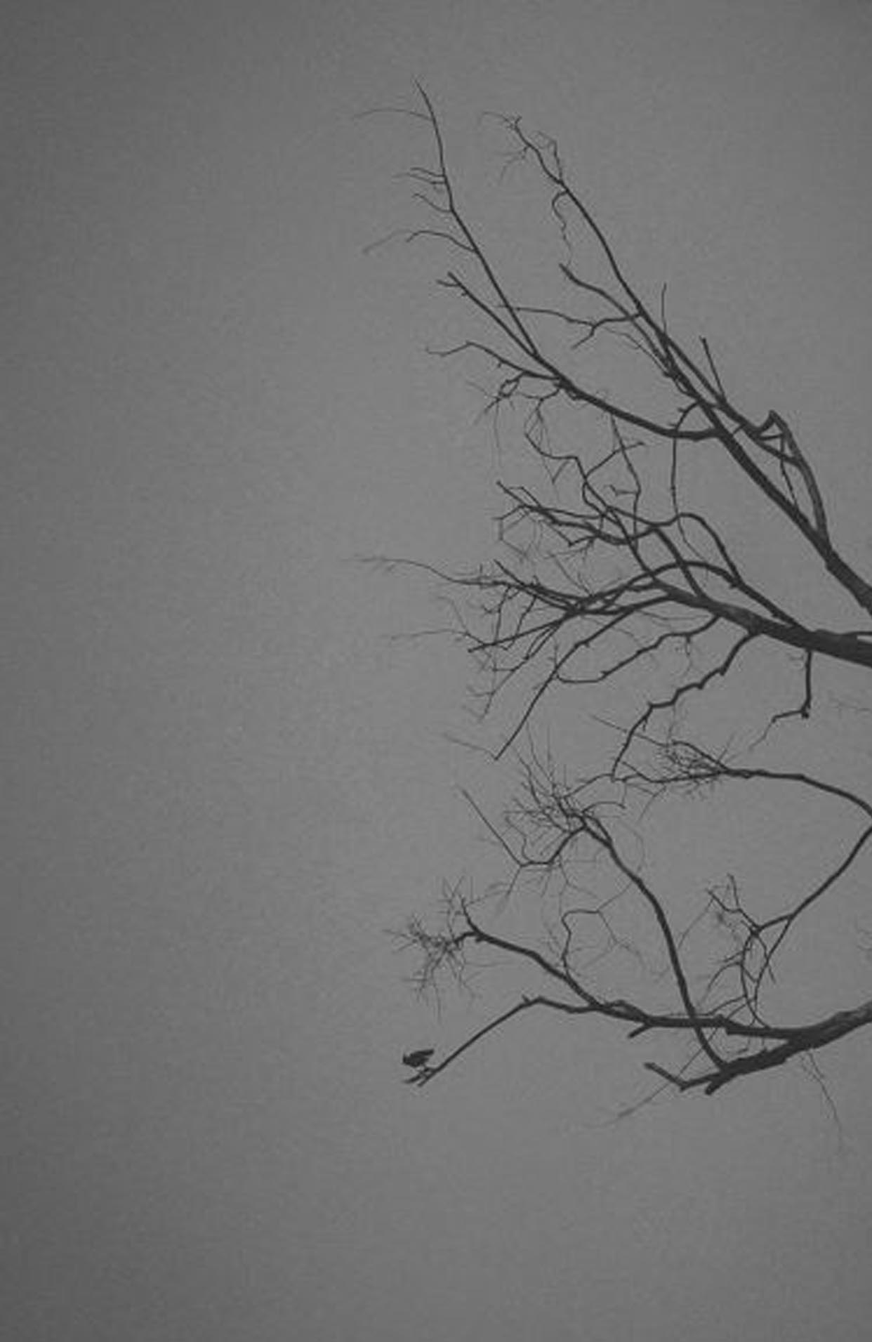 Emptiness -Gktorick
