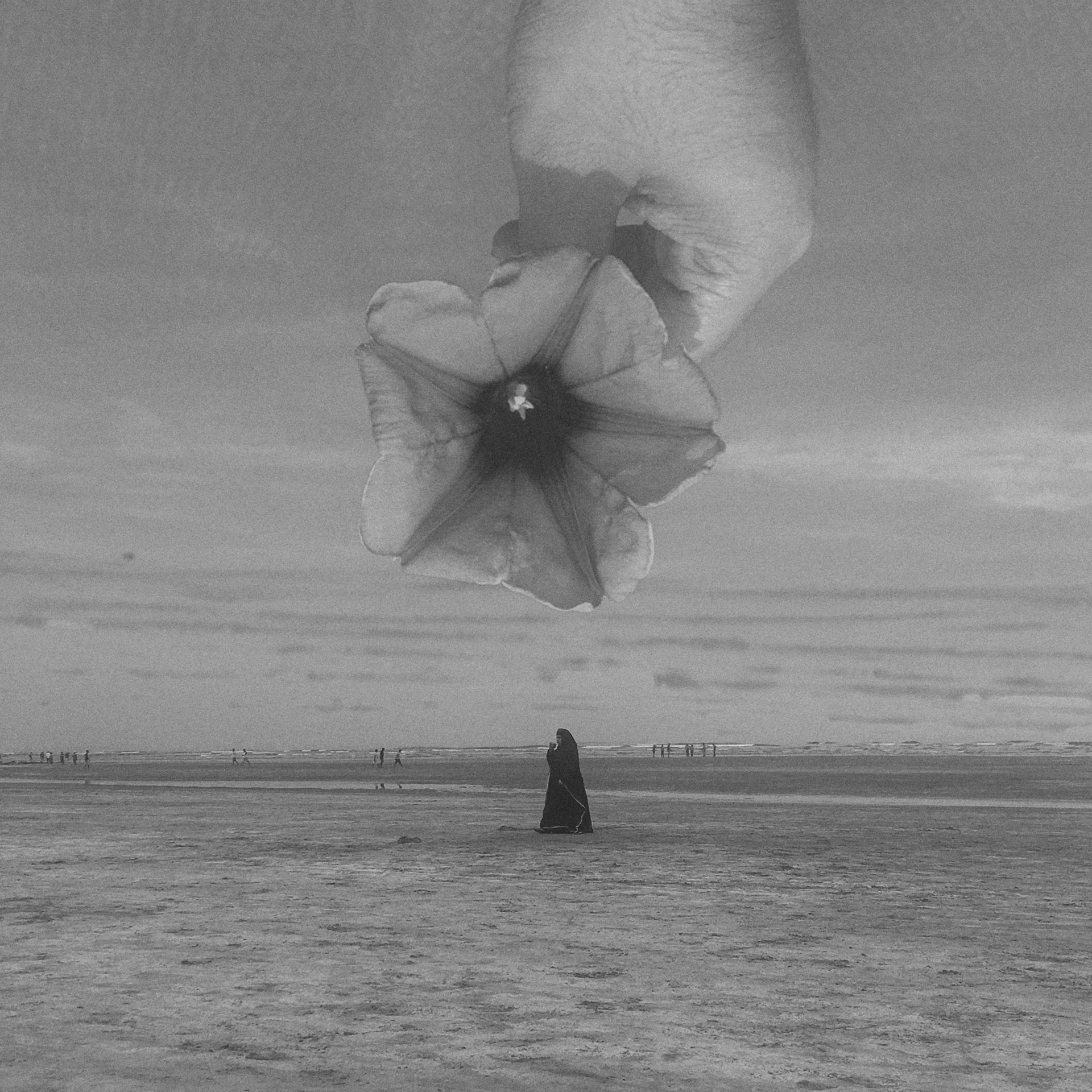 Ocean Flower - Gktorick